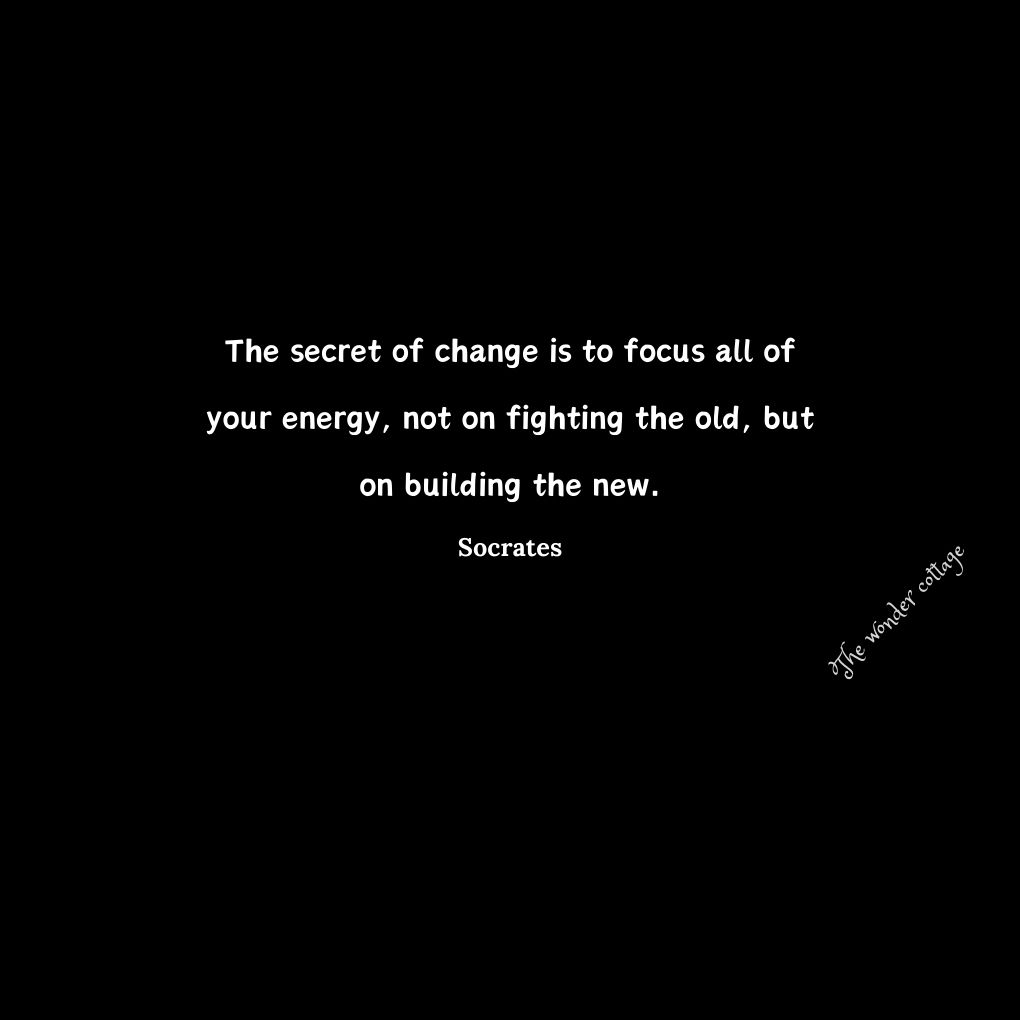 The secret of change is to focus all of your energy, not on fighting the old, but on building the new. - Socrates