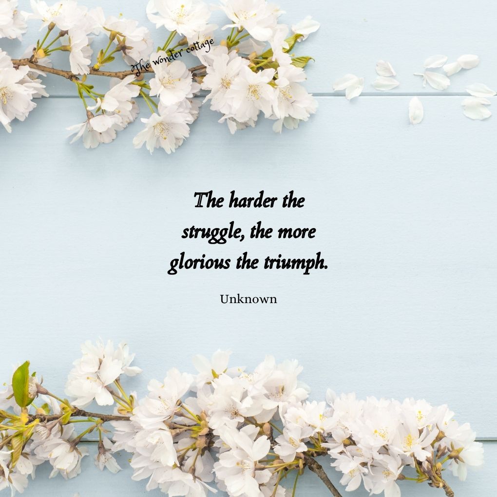 The harder the struggle, the more glorious the triumph. - Unknown