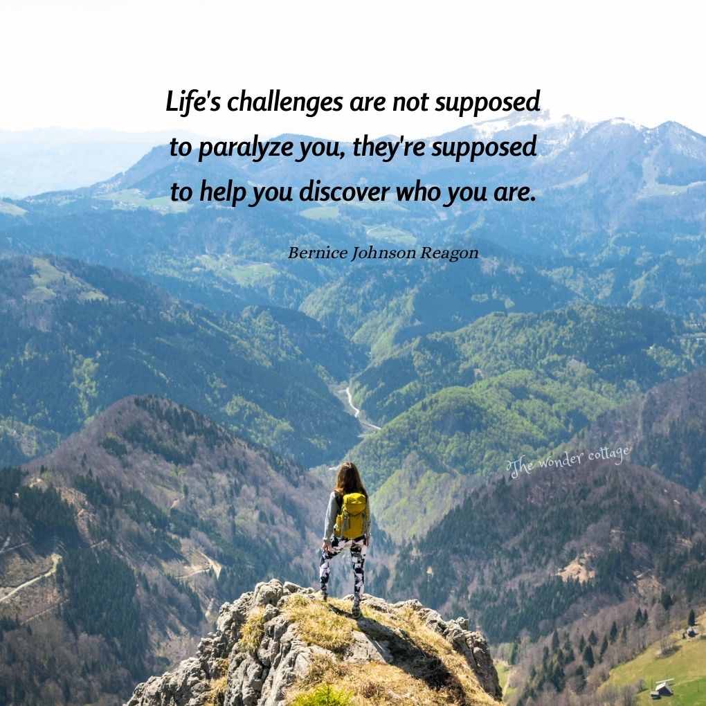 Life's challenges are not supposed to paralyze you, they're supposed to help you discover who you are. - Bernice Johnson Reagon