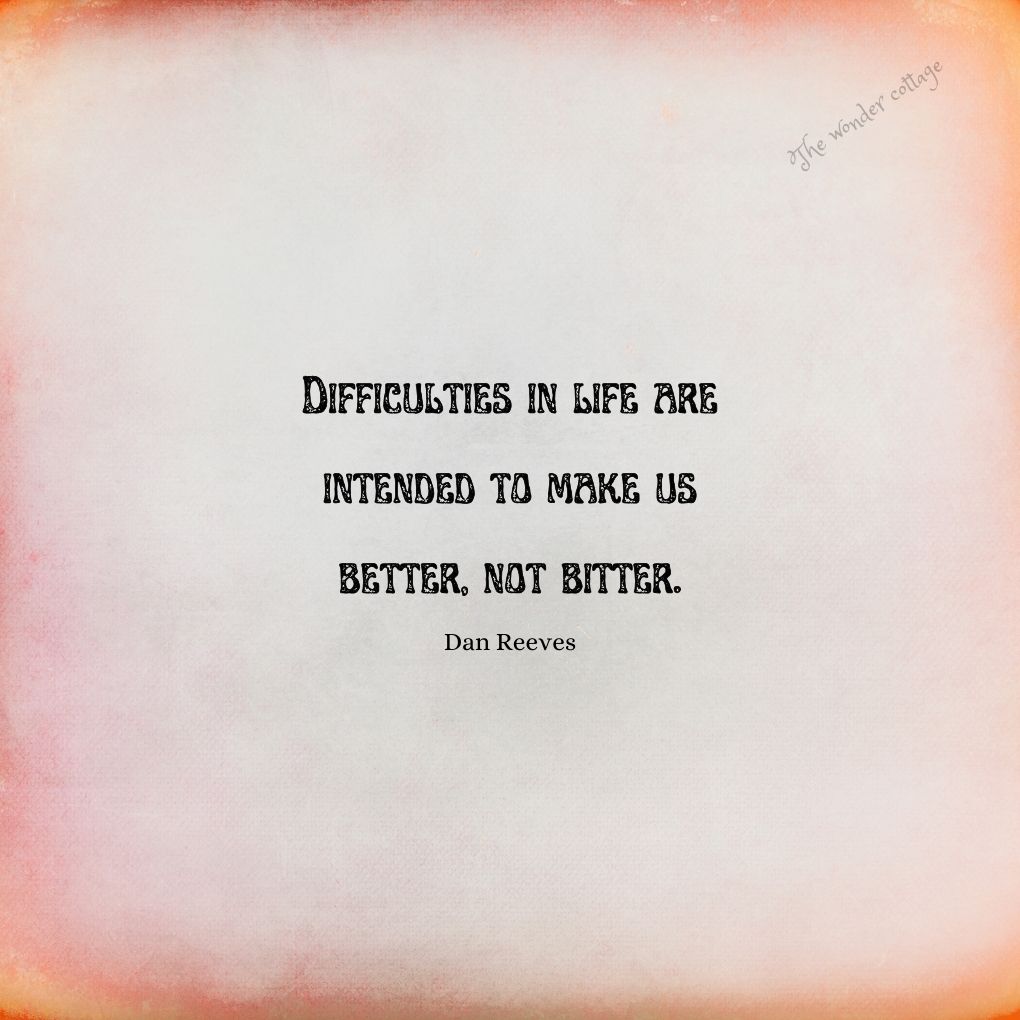 Difficulties in life are intended to make us better, not bitter. - Dan Reeves