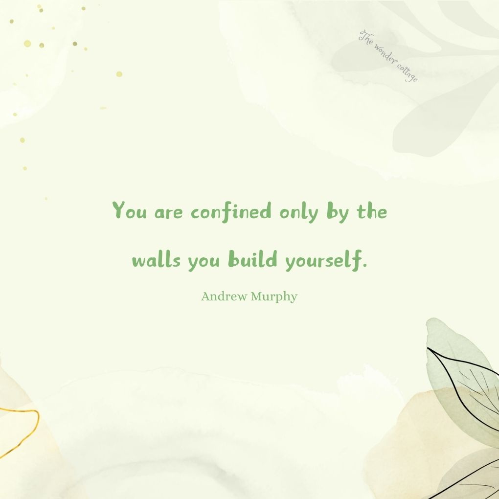 You are confined only by the walls you build yourself. - Andrew Murphy