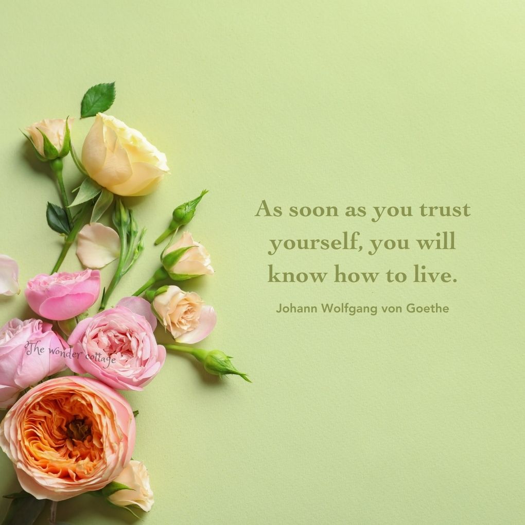 As soon as you trust yourself, you will know how to live.―Johann Wolfgang von Goethe