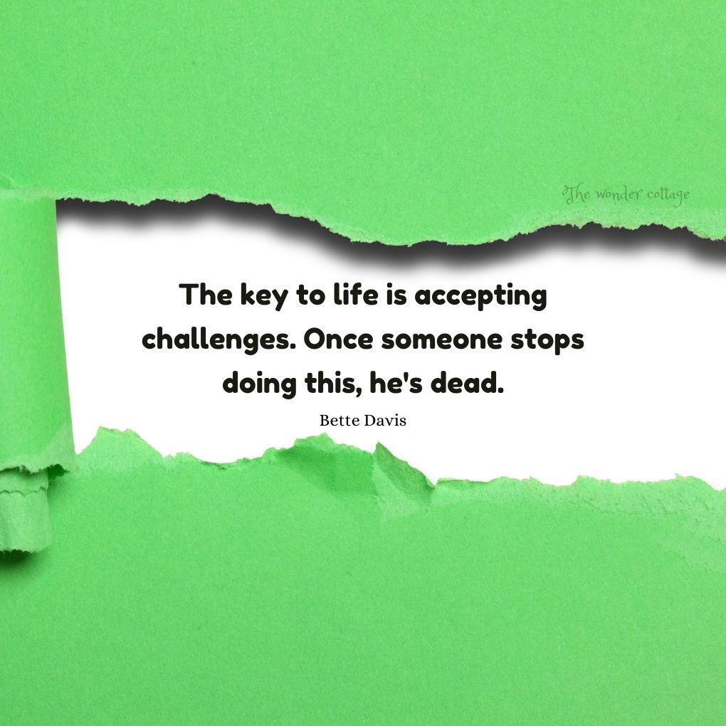 The key to life is accepting challenges. Once someone stops doing this, he's dead.― Bette Davis