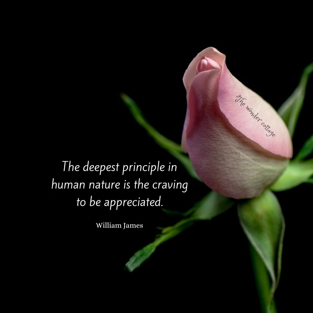The deepest principle in human nature is the craving to be appreciated. – William James