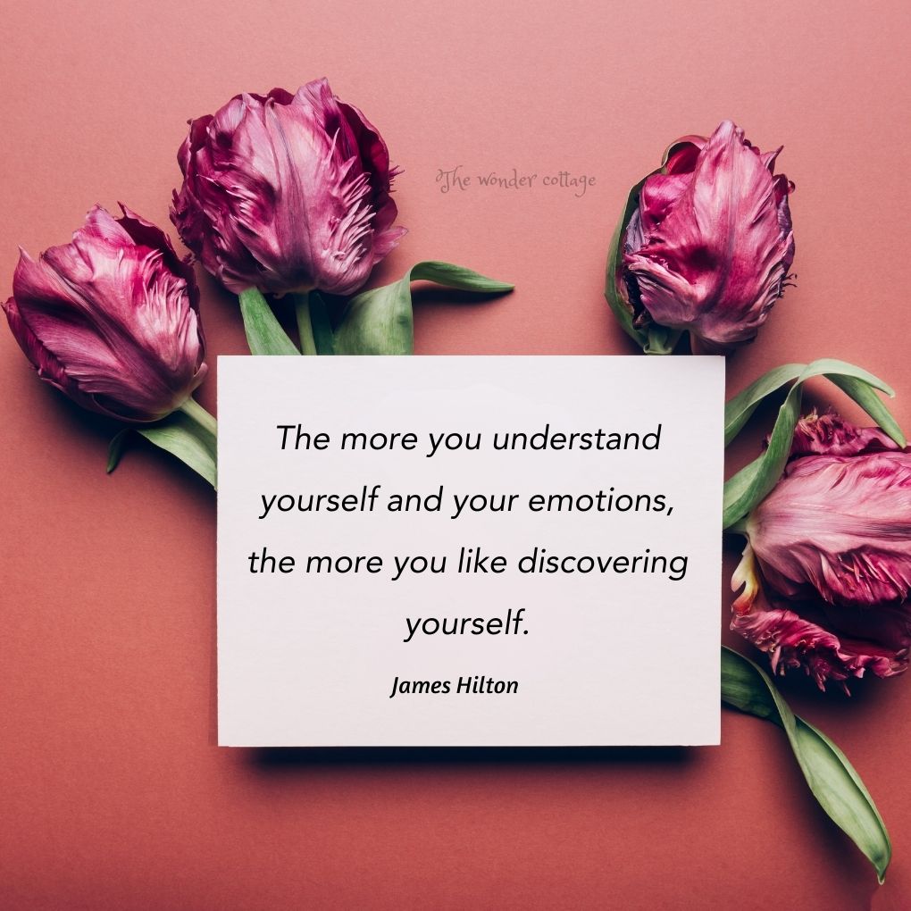 The more you understand yourself and your emotions, the more you like discovering yourself. – James Hilton