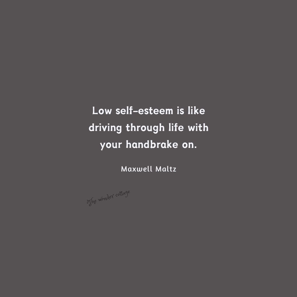 Low self-esteem is like driving through life with your handbrake on. - Maxwell Maltz